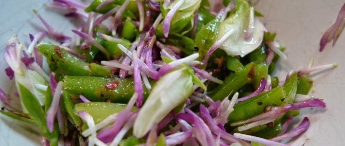 salatek-totalne-kvetinovy-nahled