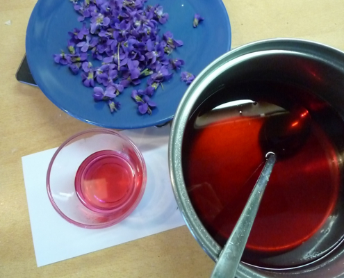 fialkový sirup