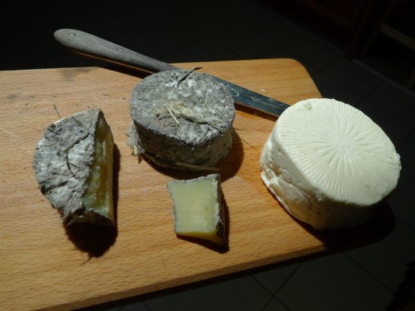 Bílý sýr v popelu