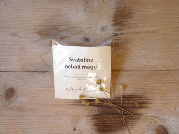 Svatolína sušený květ