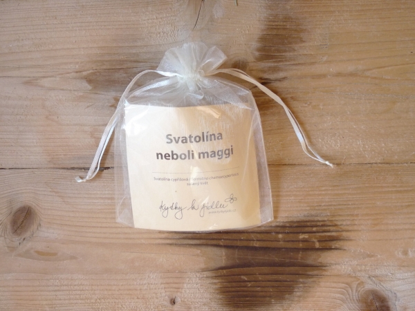Svatolína sušený květ