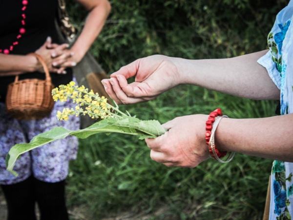 Svatojánská noc a magické býlí