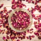 Růže převislá (Rosa pendulina) a růže vinná (Rosa rubiginosa), sušený květ