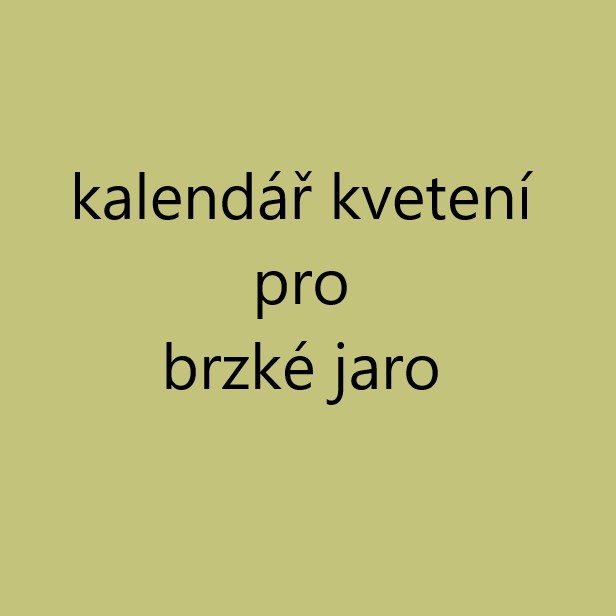 Kalendář kvetení jedlého býlí a kvítí na brzké jaro