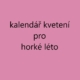 Kalendář kvetení jedlého býlí a kvítí na horké léto