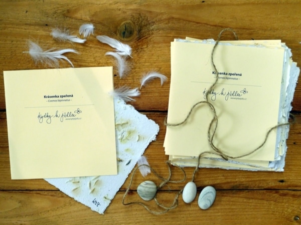 Svatební oznámení s rostoucím papírem